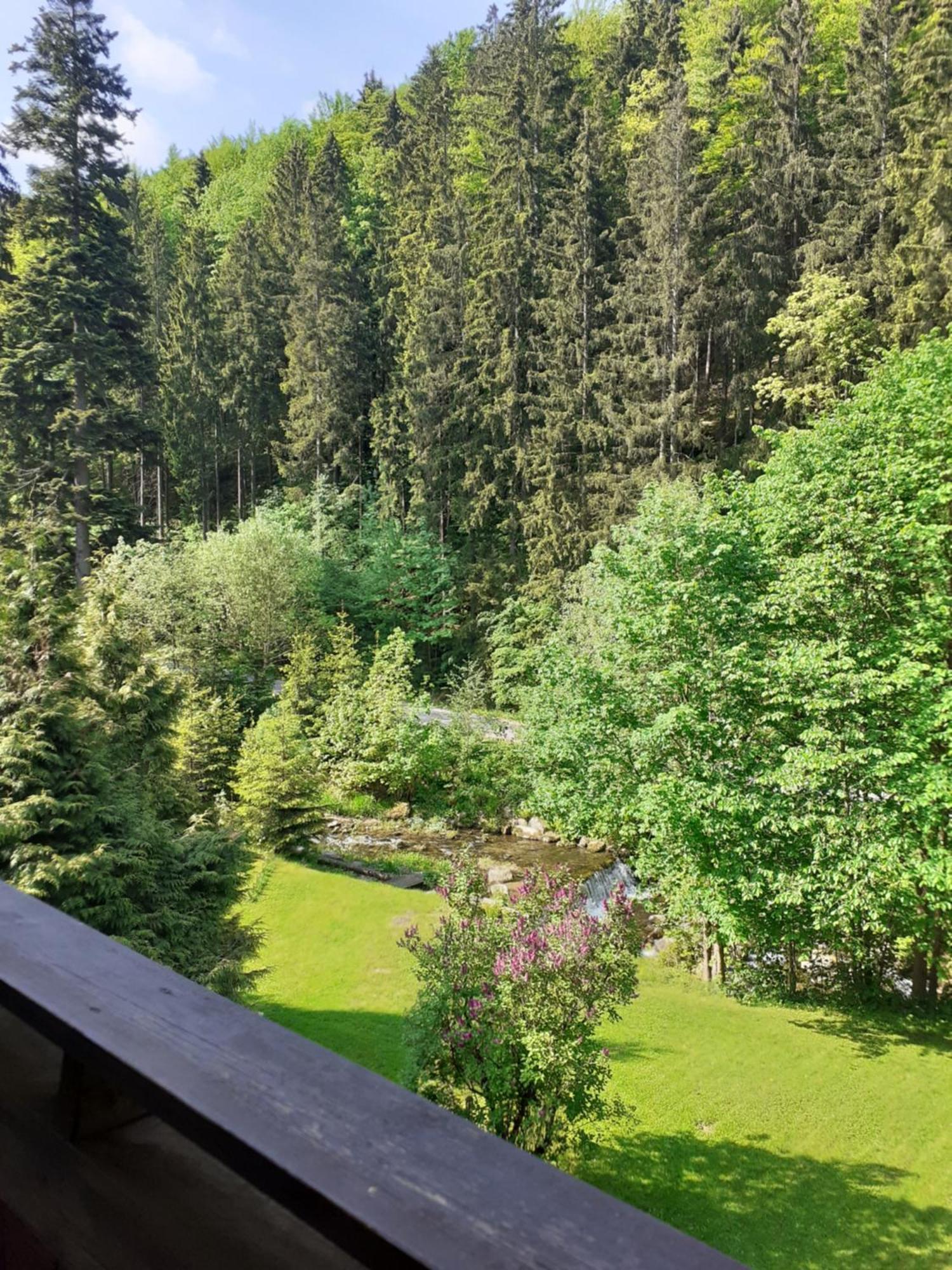 Apartamenty Kaskada Miedzygorze Pokoj fotografie