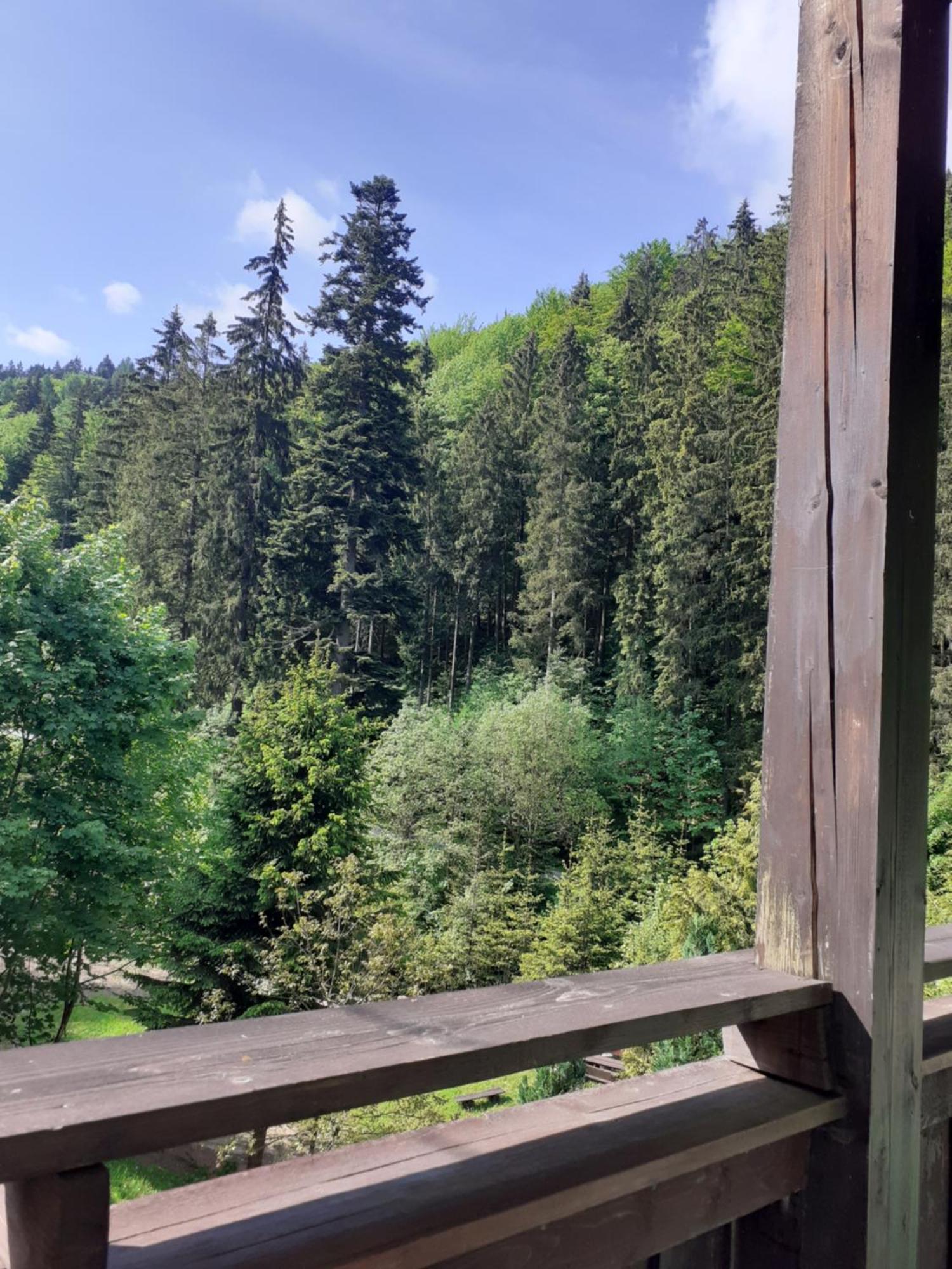 Apartamenty Kaskada Miedzygorze Pokoj fotografie